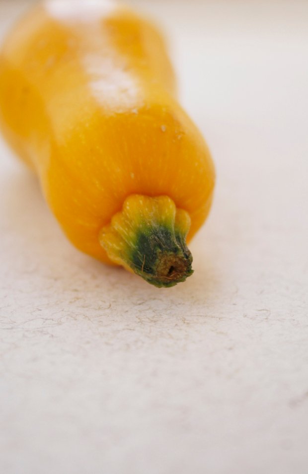 Summer Squash