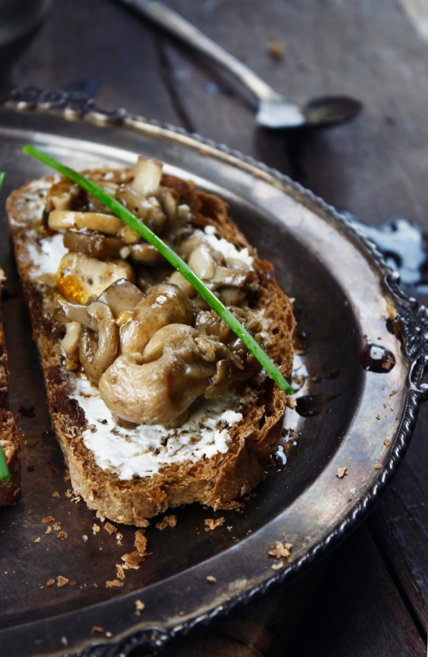 mushroom crostini