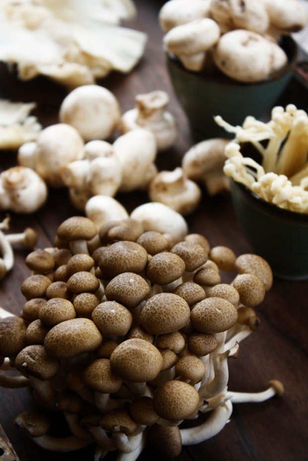 mushroom crostini 