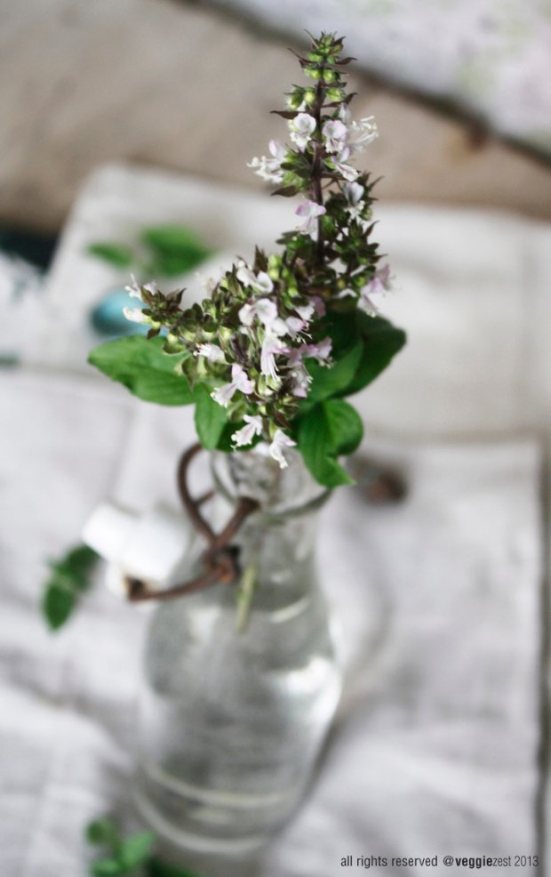 Thai Sweet Basil