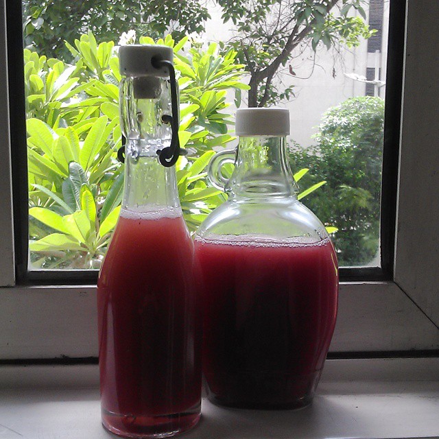 All ready, in the bottles and in the fridge #phalsas #phalsa #summertime #summer #drinks #squash All ready, in the bottles and in the fridge #phalsas #phalsa #summertime #summer #drinks #squash