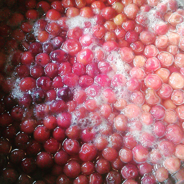 What do you do when you land up buying some exotic fruit that aint too flavorful??? You turn it into a syrup for drinks. Phalsa Squash vibes from the kitchen. #phalsa #juice #homemadefood #syrup What do you do when you land up buying some exotic fruit that aint too flavorful??? You turn it into a syrup for drinks. Phalsa Squash vibes from the kitchen. #phalsa #juice #homemadefood #syrup